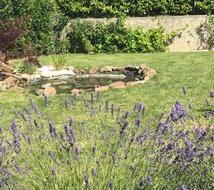 Photo of Others in Vaucelles