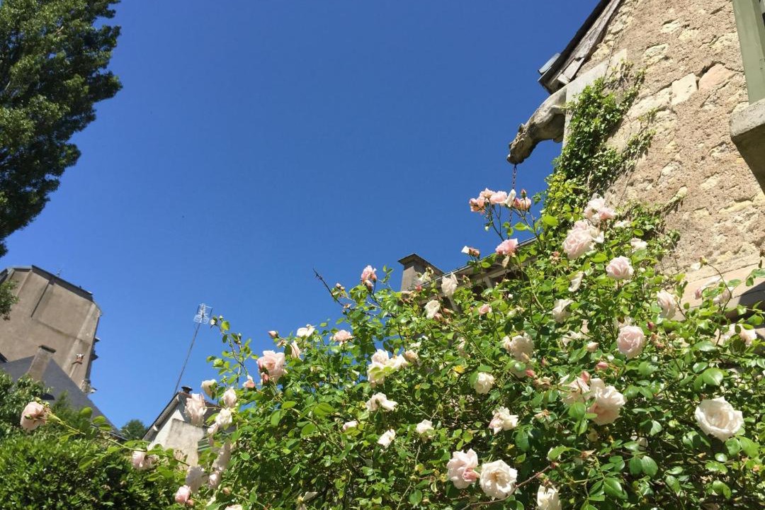 Photo of Others in Rochecorbon