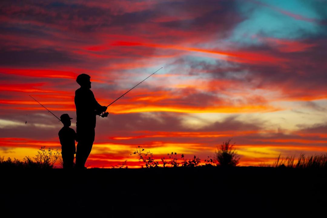 Photo of Others in Willcox