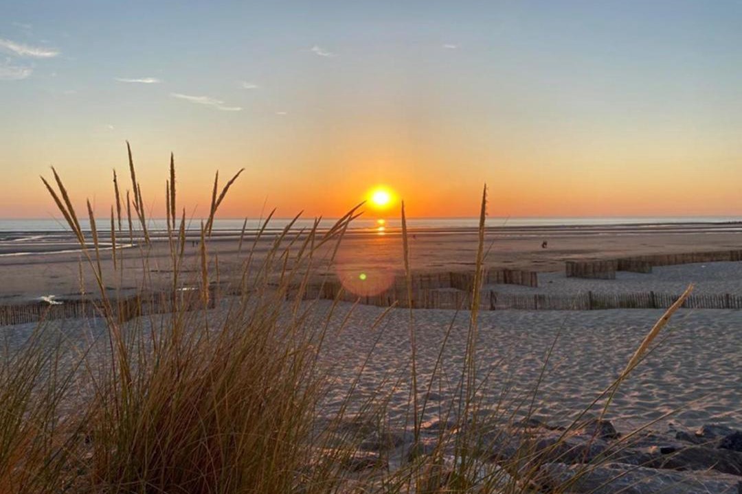 Photo of Others in Camiers