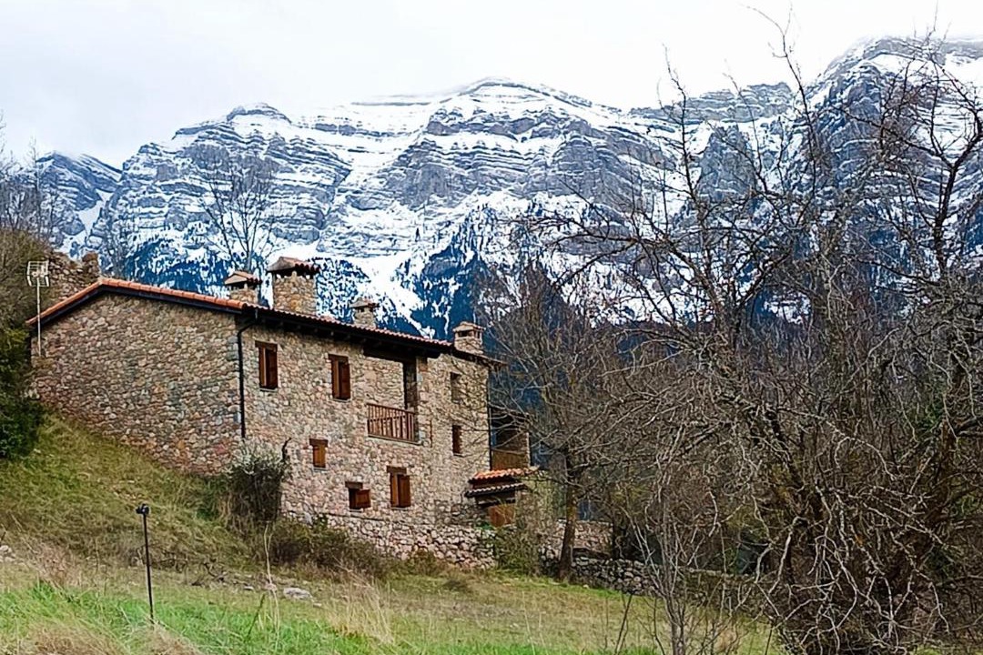Photo of Others in Cava