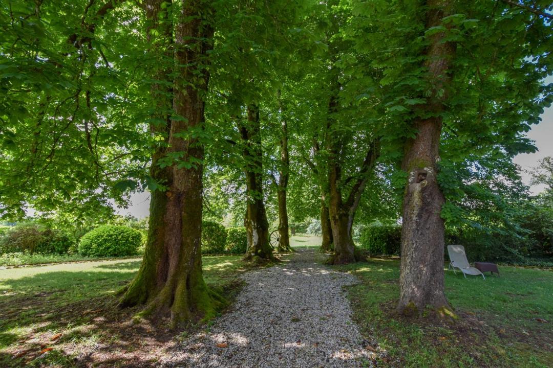 Photo of Others in Lesparre-Medoc