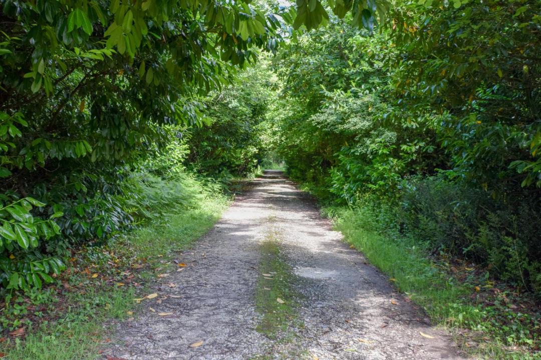 Photo of Others in Lesparre-Medoc