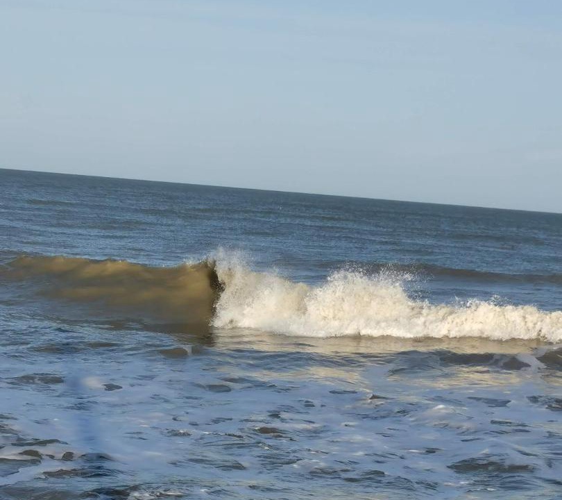 Photo of Others in Ver-sur-Mer