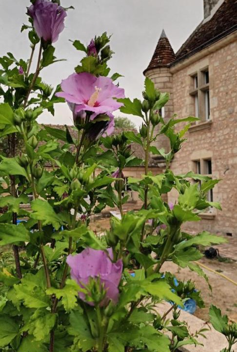 Photo of Buildings in Perche-en-Noce