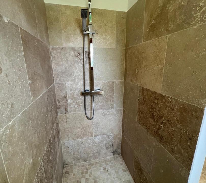 Photo of Others in Mane