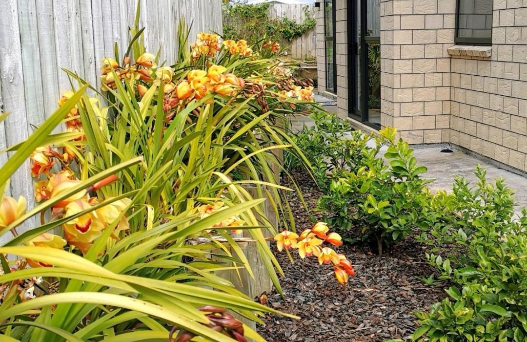 Photo of Others in Albany