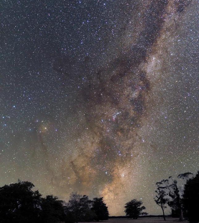 Photo of Others in Ongaonga