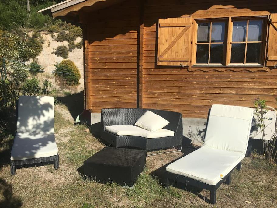 Photo of Others in Tasso