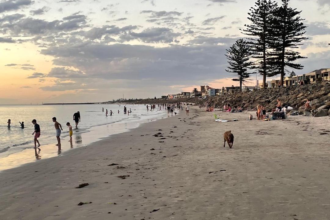 Photo of Others in Glenelg North