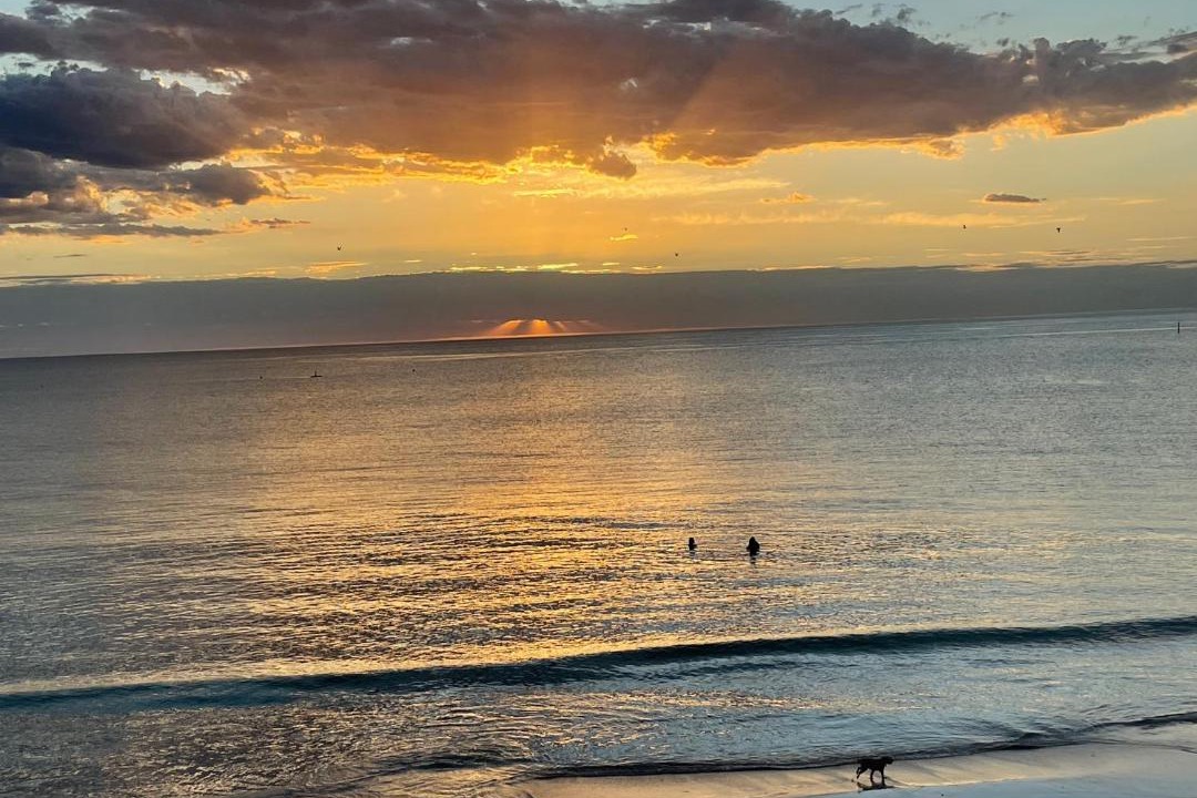 Photo of Outdoor in Glenelg North