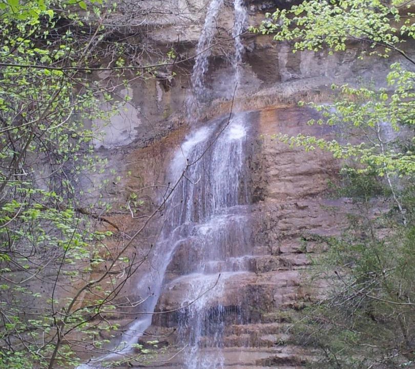 Photo of Others in Apremont