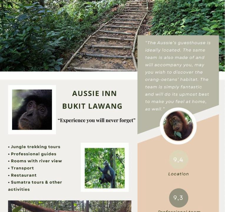 Photo of Others in Bukit Lawang
