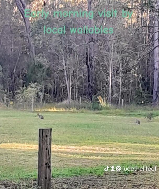 Photo of Others in Cedar Party