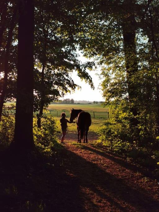 Photo of Others in Saint-Leger