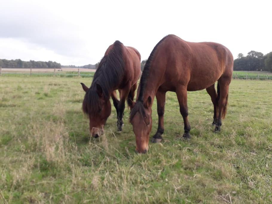 Photo of Others in Saint-Leger