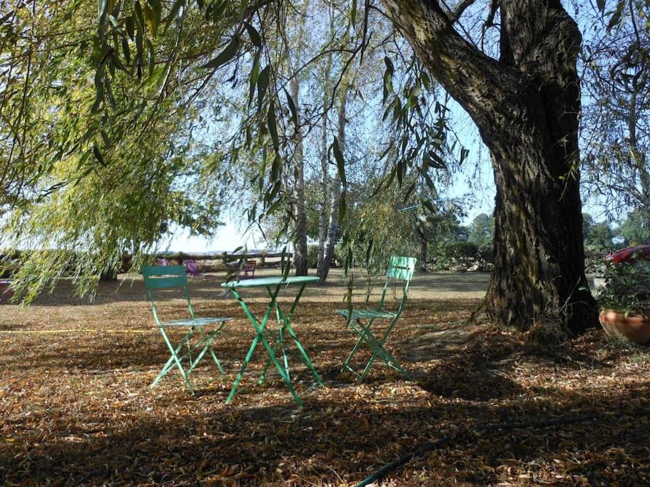 Photo of Others in Saint-Leger