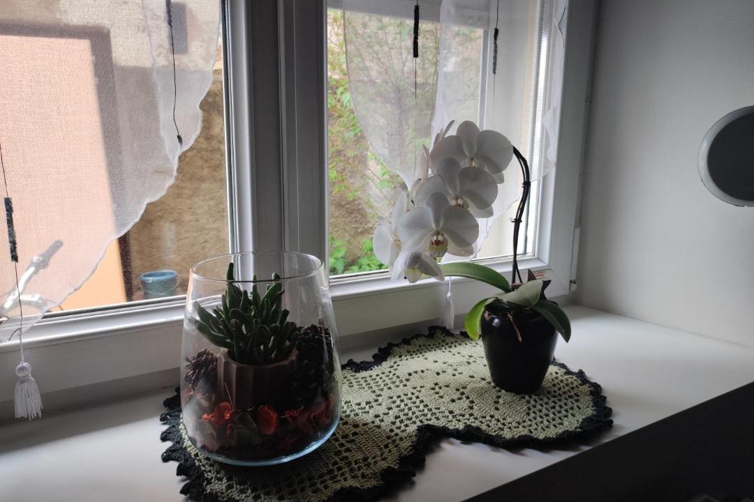 Photo of Others in Bischheim