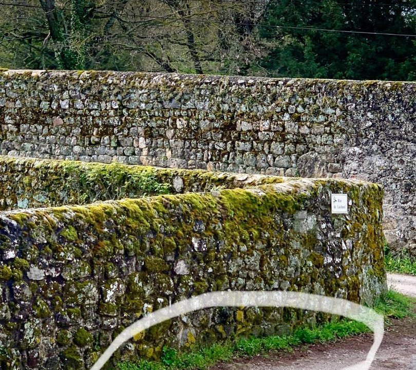 Photo of Others in Quintenas