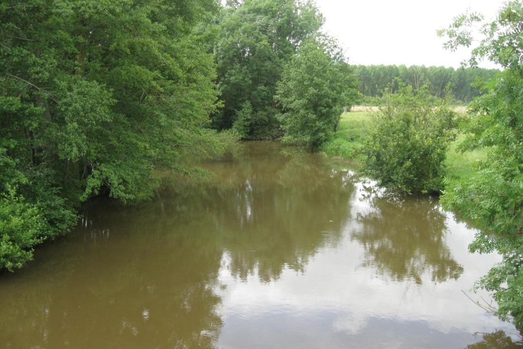 Photo of Others in Moitron-sur-Sarthe