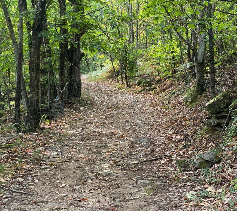 Photo of Others in Gravieres