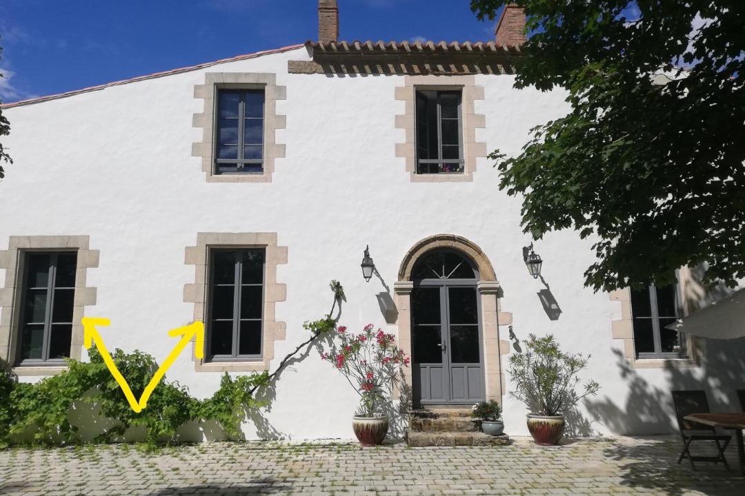 Photo of Others in Soullans