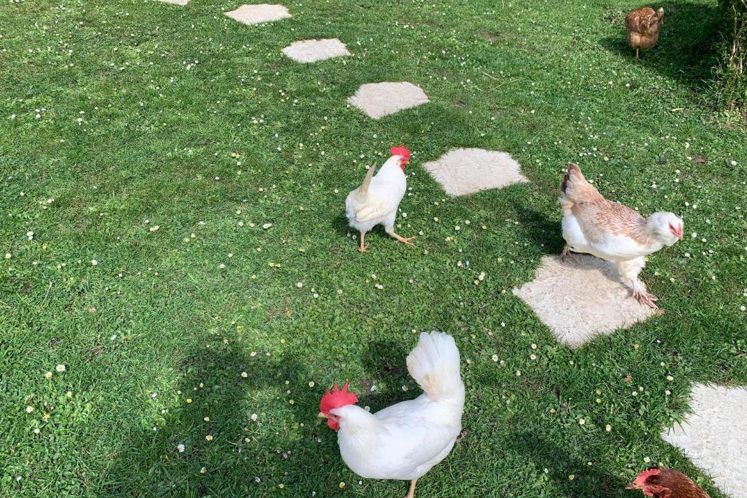 Photo of Others in Vimoutiers