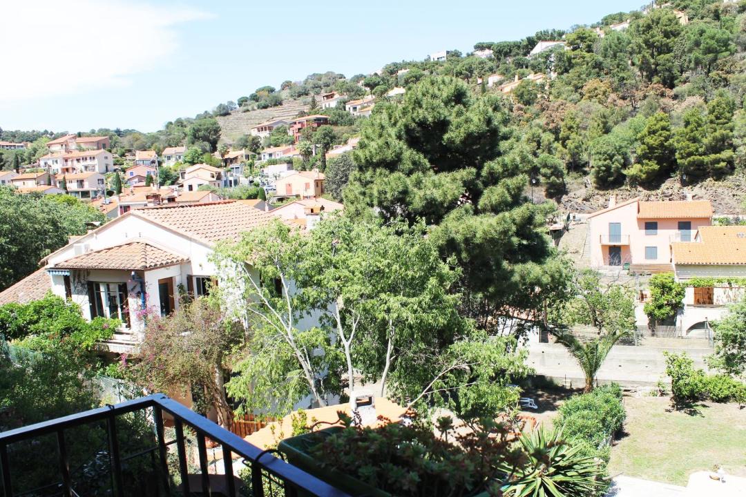Photo of Others in Collioure