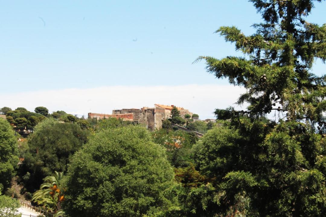 Photo of Others in Collioure