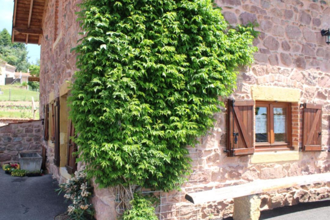 Photo of Others in Sevelinges