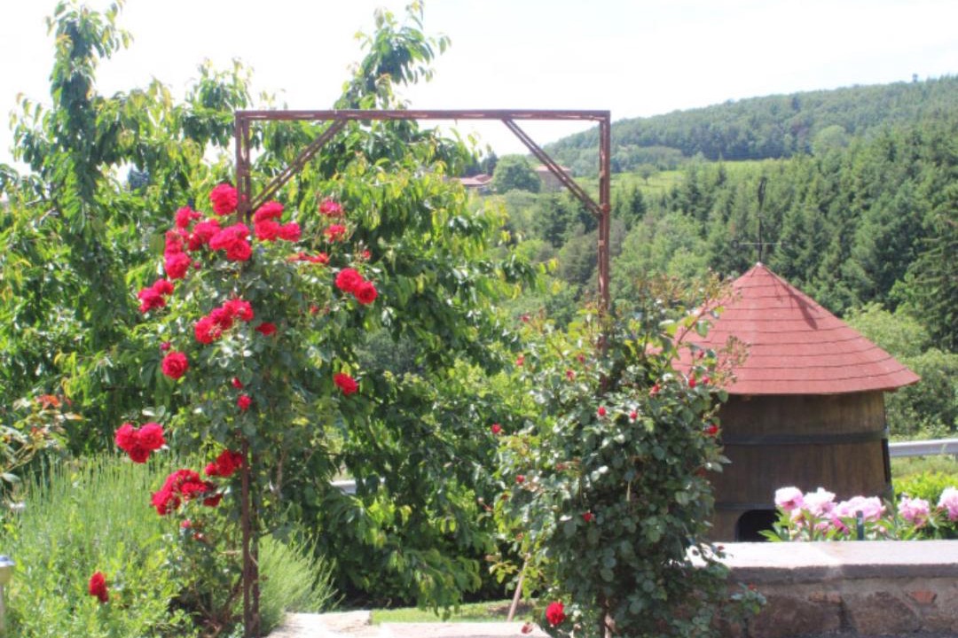 Photo of Others in Sevelinges