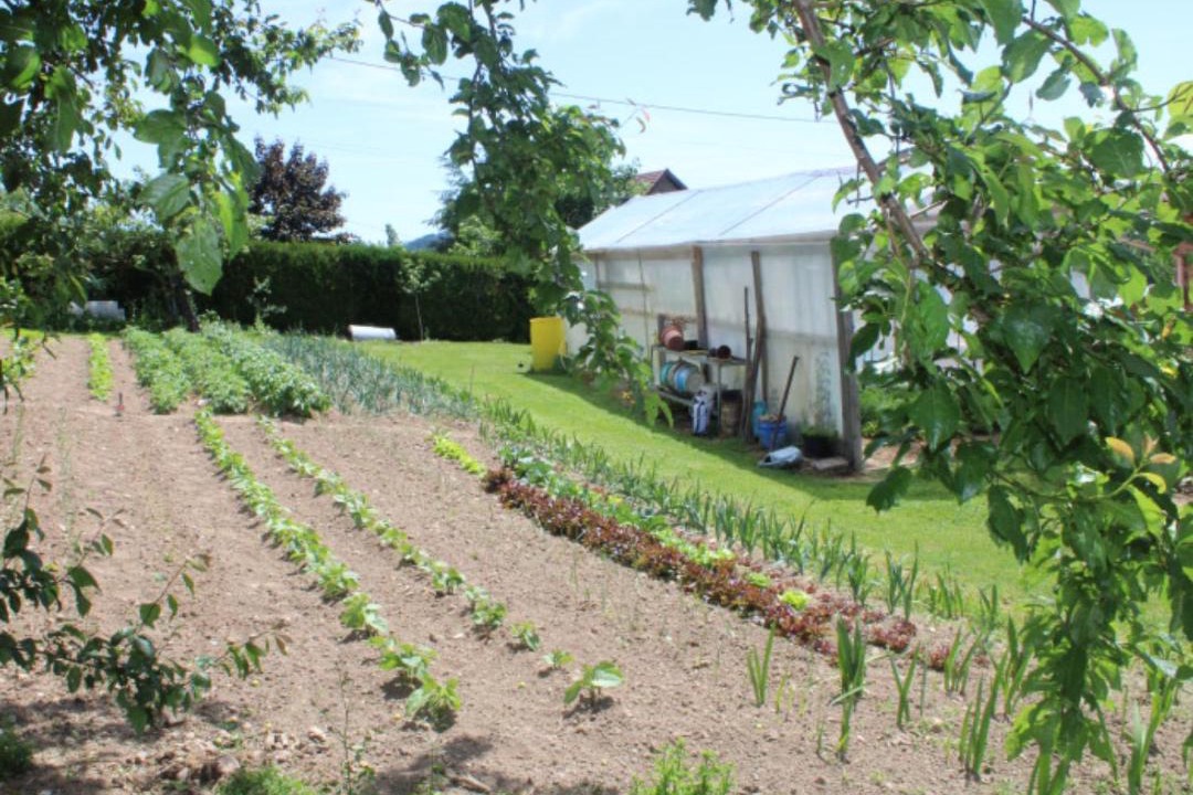 Photo of Buildings in Sevelinges