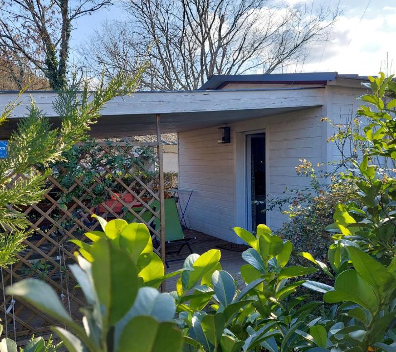 Photo of Others in Montreal