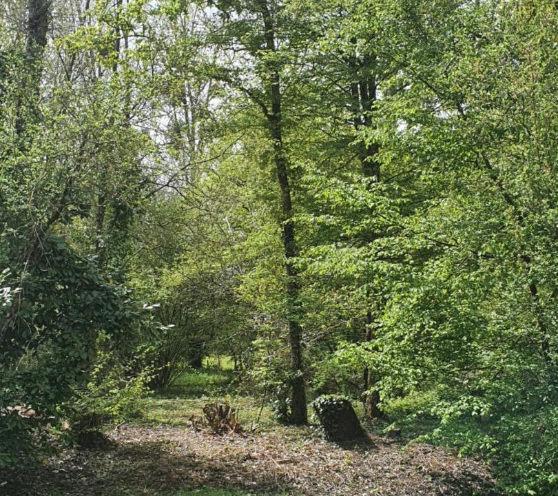 Photo of Others in Change