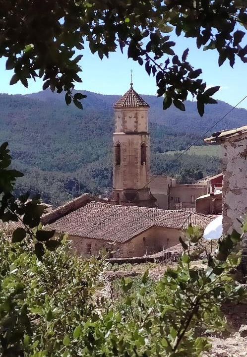 Photo of Others in Arboli