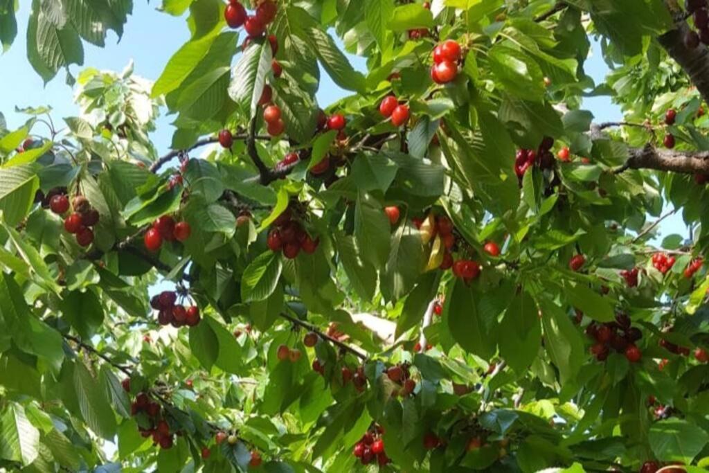 Photo of Outdoor in Neuville-Bosc