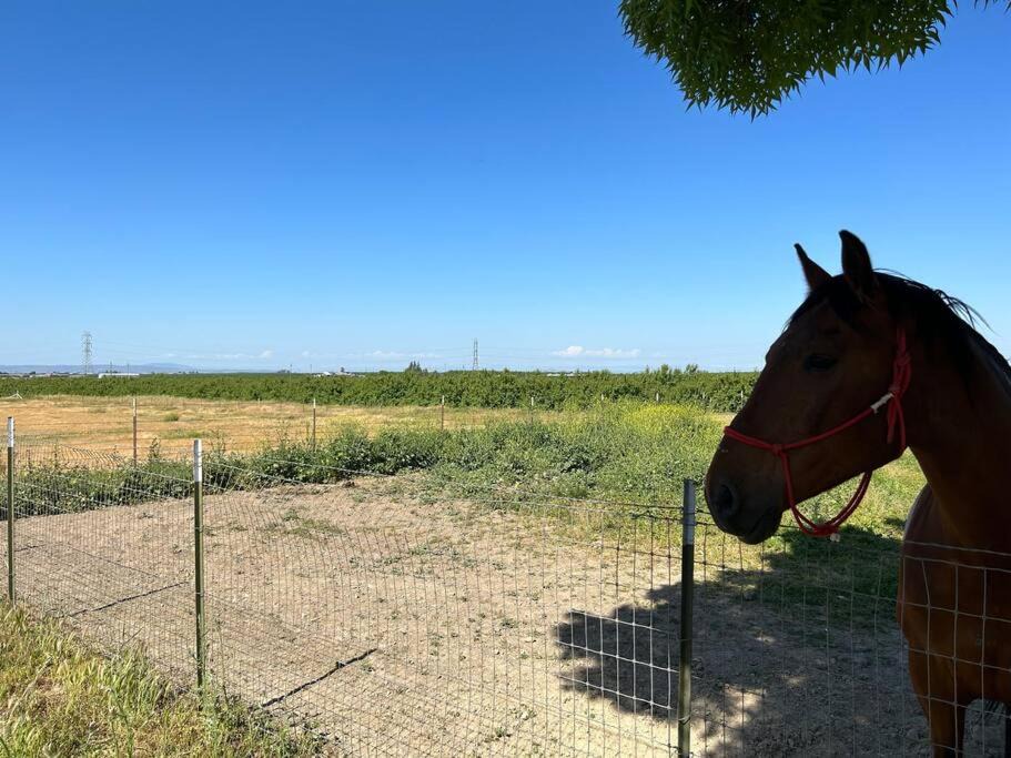 Photo of Others in Peters