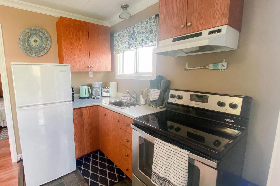 Photo of Others in Cow Head