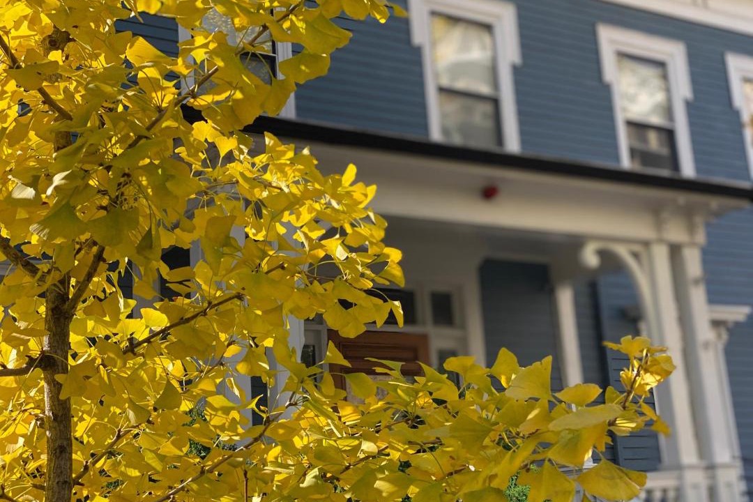 Photo of Others in Central Square