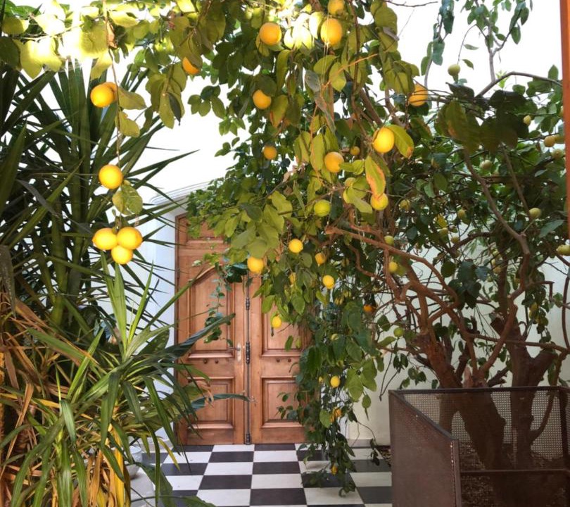 Photo of Others in Pertuis