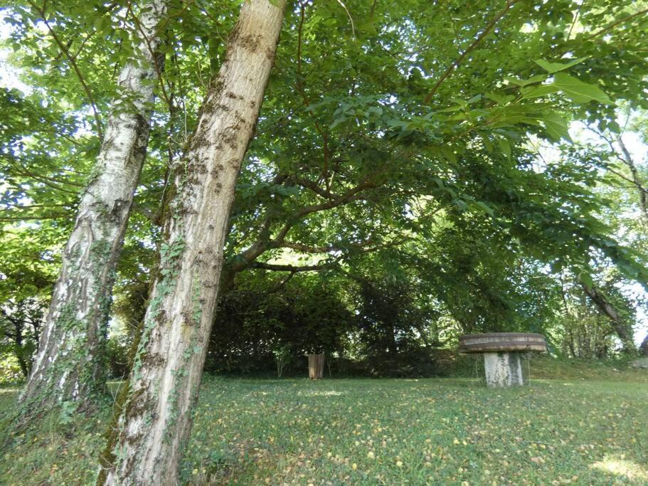 Photo of Others in Bartres