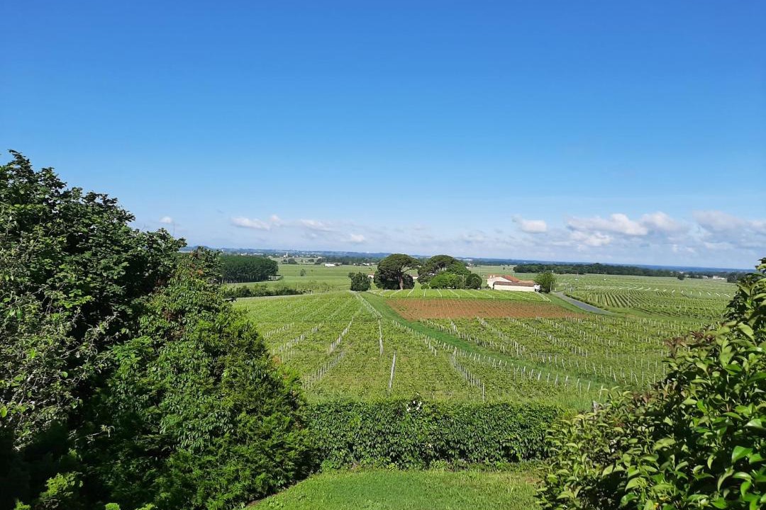 Photo of Others in Montagne