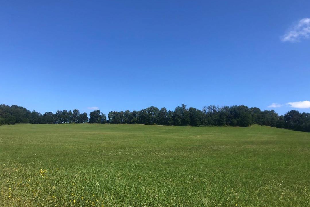 Photo of Others in Saint-Jean-le-Vieux