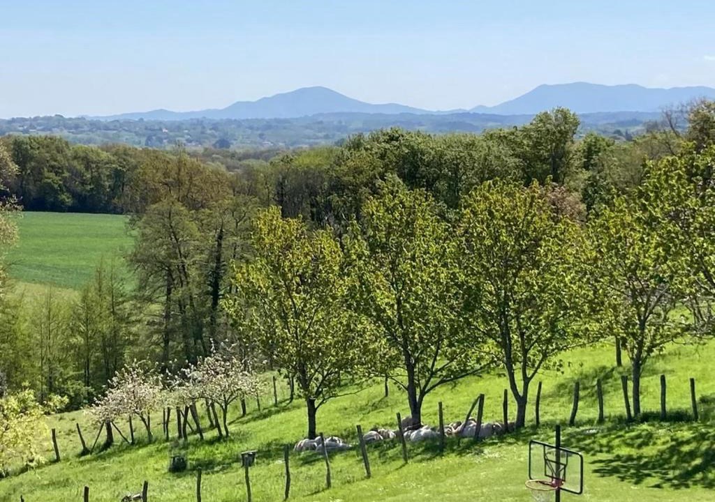 Photo of Others in Ahetze