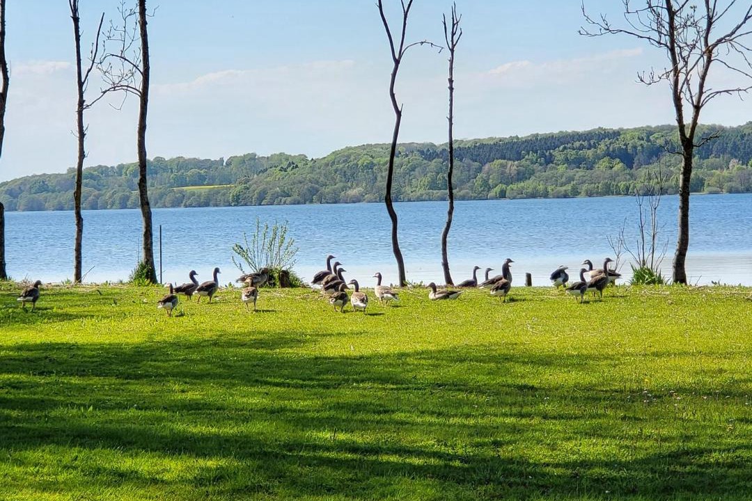 Photo of Others in Skanderborg