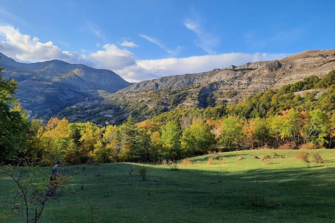 Photo of Others in La Robine-sur-Galabre