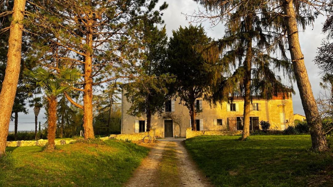 Photo of Others in Condom