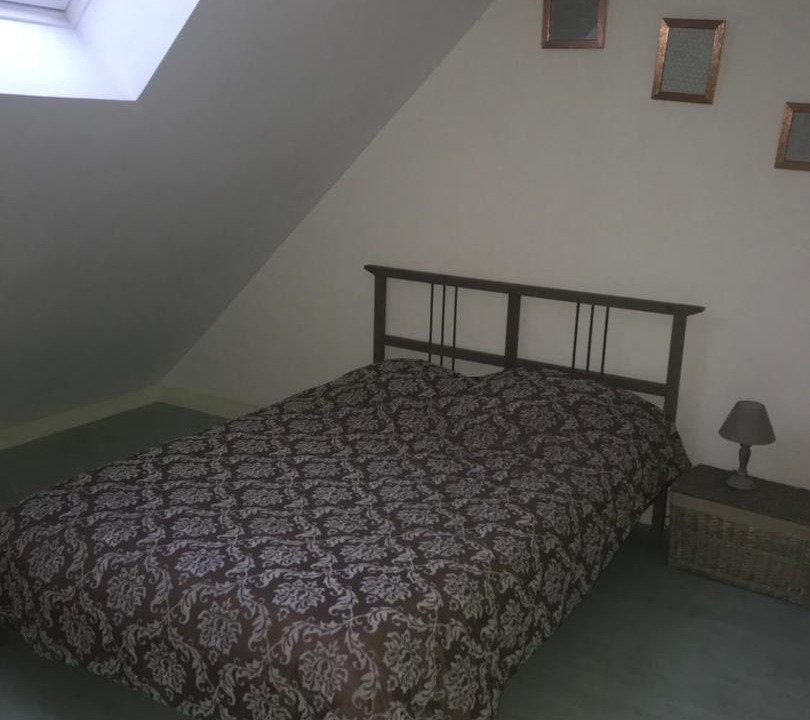 Photo of Others in Cures