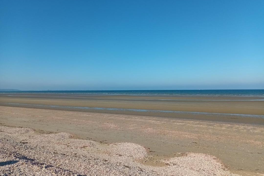 Photo of Others in Saint-Marcouf