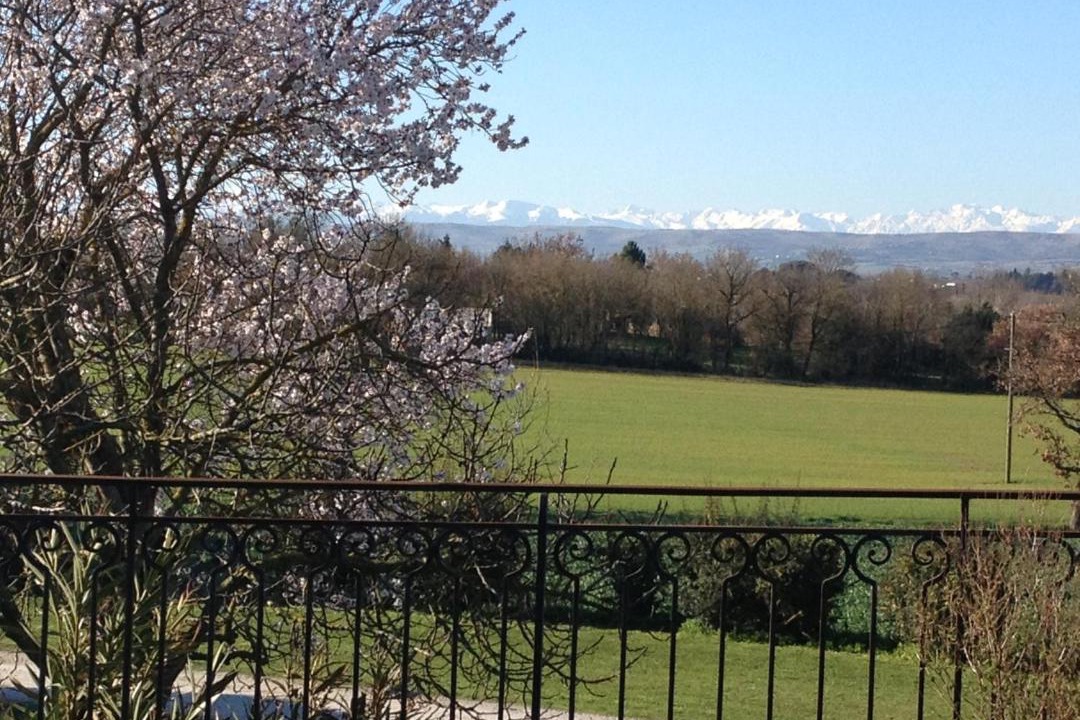 Photo of Others in Saint-Martin-Lalande